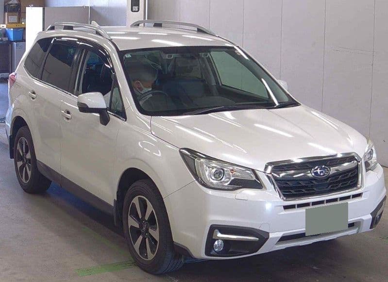 
									2016 SUBARU FORESTER X-BRAKE
								