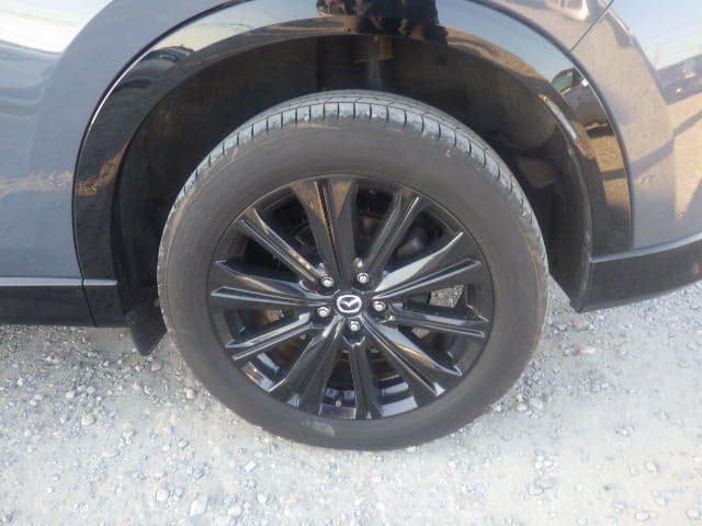 Vehicle SU00001325 large view 11