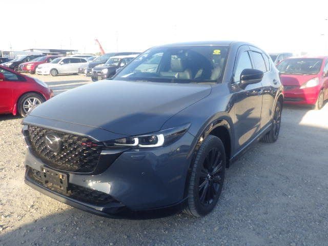 
									2004 MAZDA CX-5 XD SPORT APPEARANCE
								