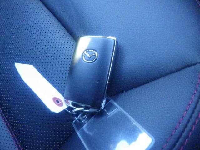 Vehicle SU00001325 large view 33