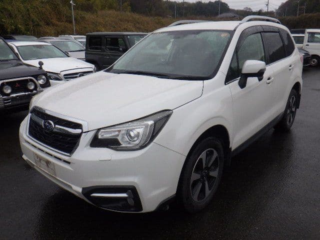 
									2016 SUBARU FORESTER X-BRAKE
								