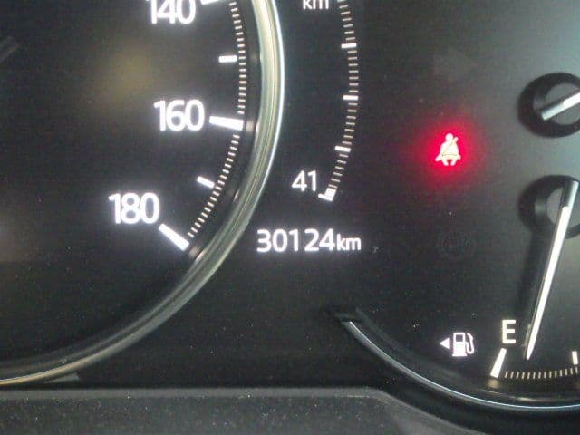 Vehicle SU00001325 large view 29