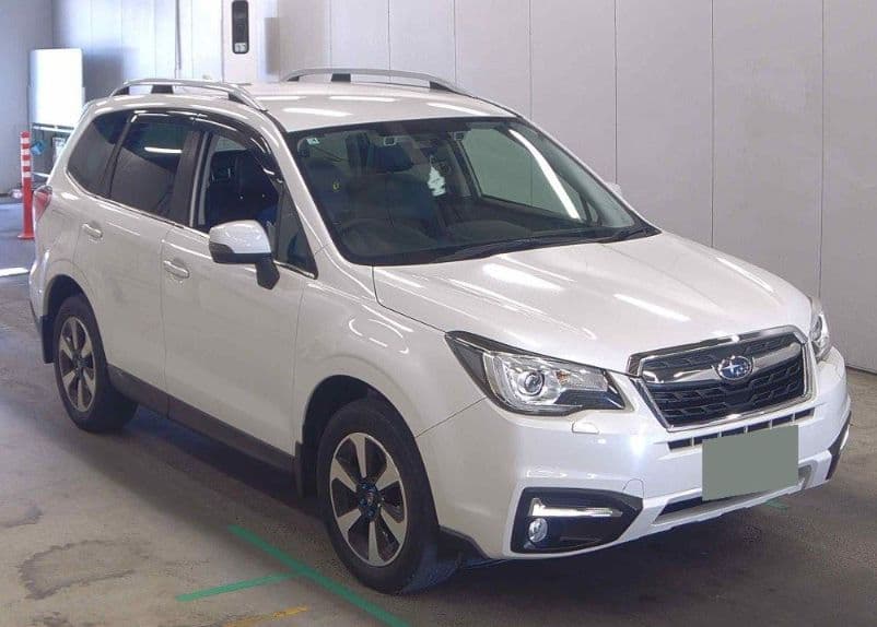 
									2017 SUBARU FORESTER X-BRAKE
								