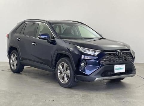 
									2021 TOYOTA RAV4 G
								