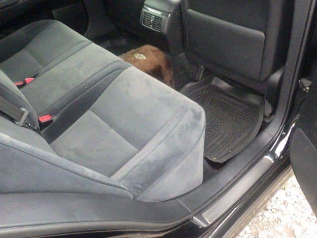 Vehicle SU00001115 large view 21