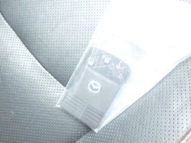 Vehicle SU00001301 large view 34