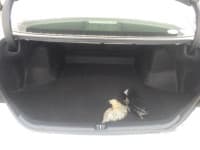 Vehicle SU00001386 thumbnail 23